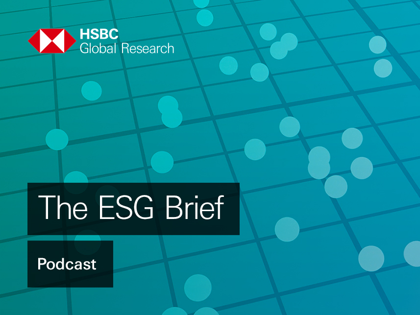 The ESG Brief